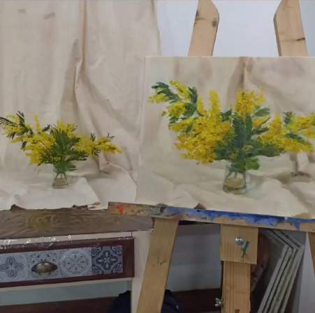 Mimose